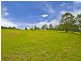 65 Vincent Road, Kurrajong NSW 2758