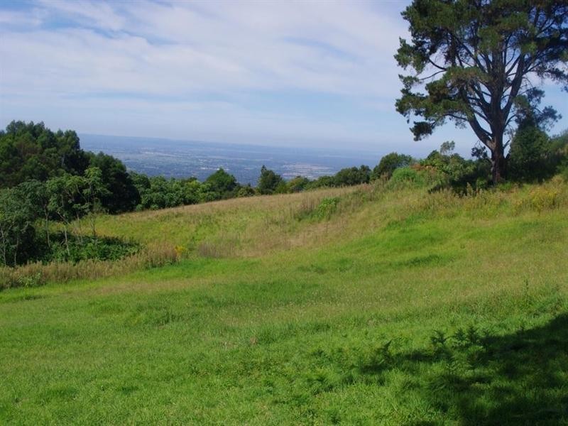 1384 Bells Line of Road, Kurrajong Heights NSW 2758