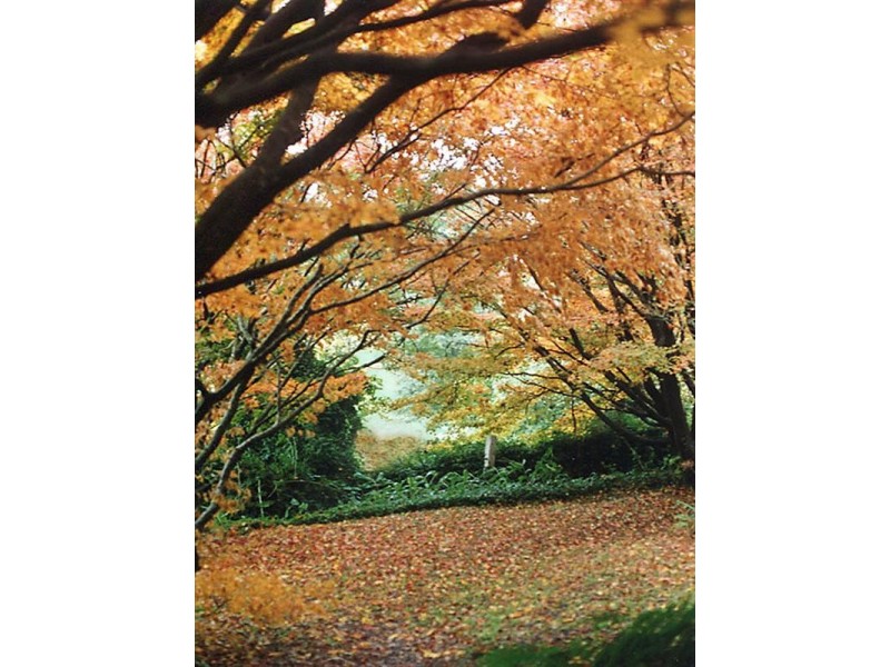 88 Warks Hill Road, Kurrajong Heights NSW 2758