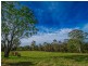 655 East Kurrajong Road, East Kurrajong NSW 2758