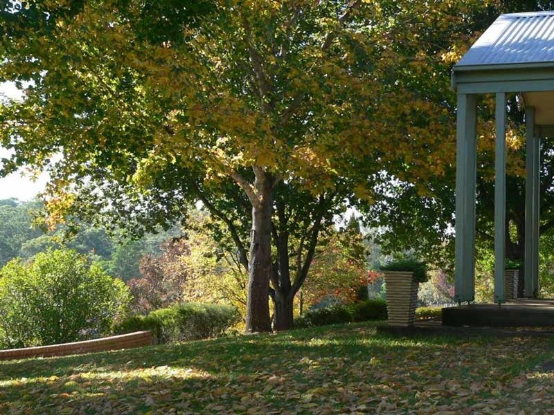 423 Slopes Road, The Slopes NSW 2754