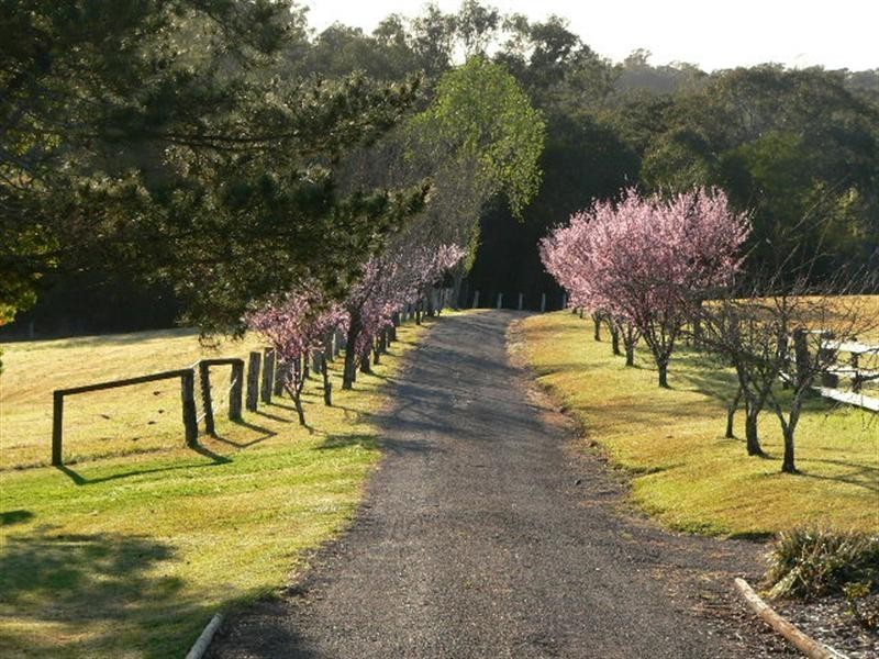 423 Slopes Road, The Slopes NSW 2754