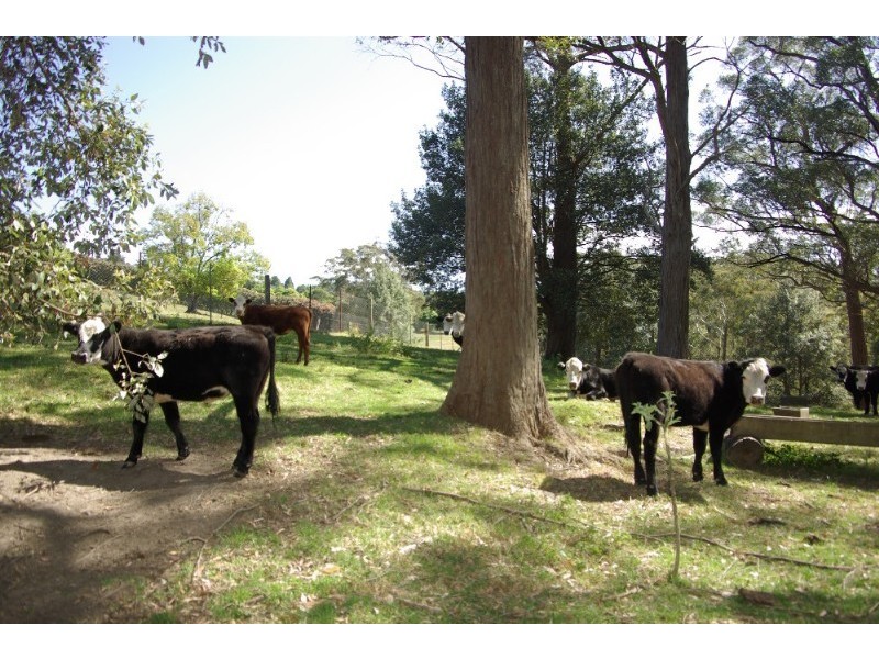 Kurrajong Heights NSW 2758