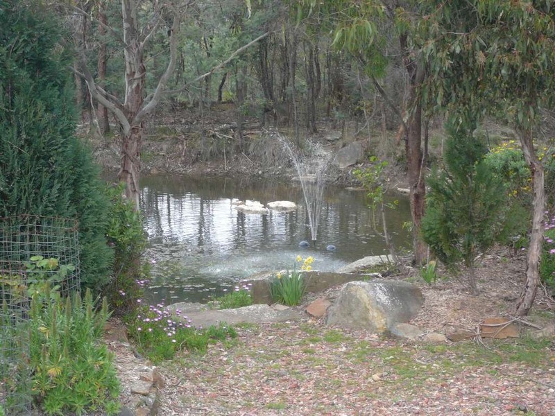 6 Keith Avenue, Travellers Rest TAS 7250