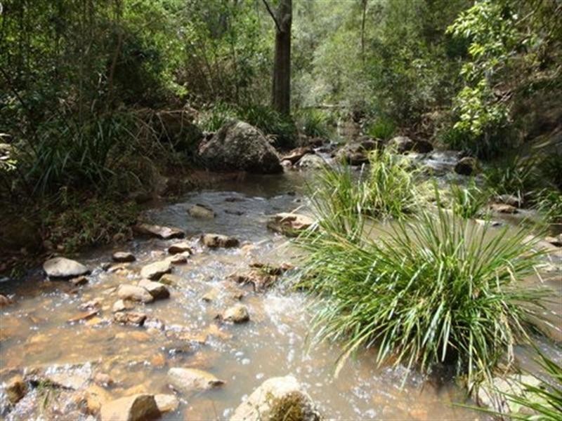 16 Wallaby Close, Duns Creek NSW 2321