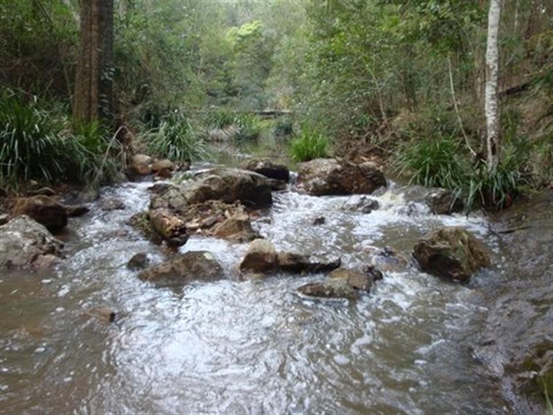 16 Wallaby Close, Duns Creek NSW 2321