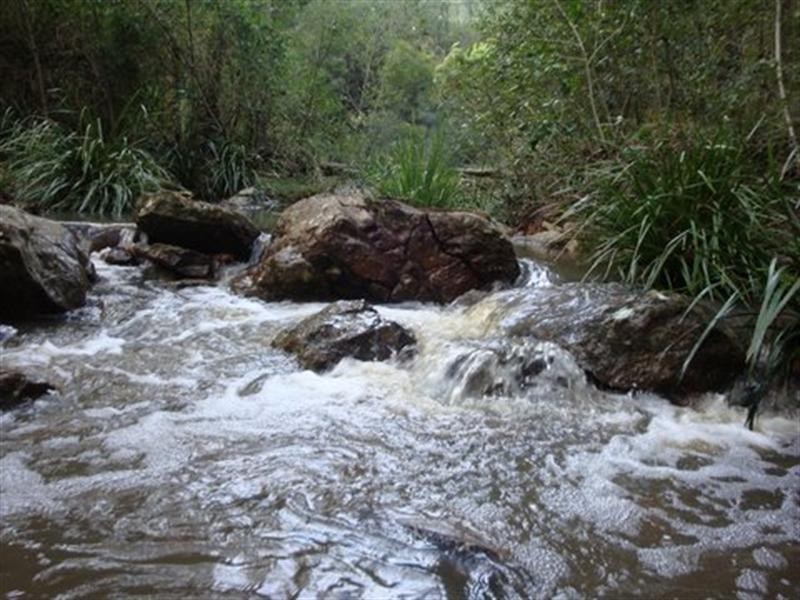 16 Wallaby Close, Duns Creek NSW 2321