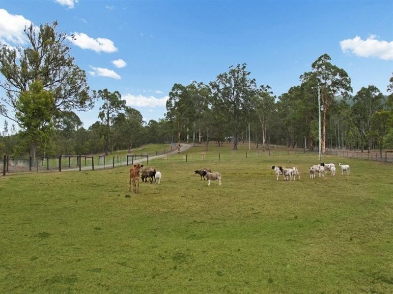 15 Forest Road, Duns Creek NSW 2321