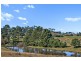 101 Knockfin Road, Luskintyre NSW 2321