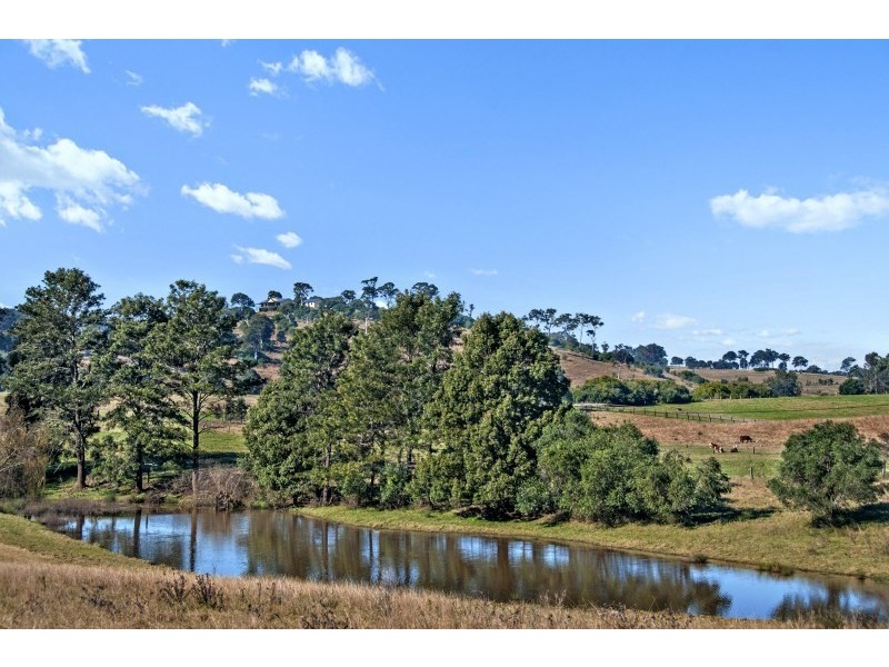 101 Knockfin Road, Luskintyre NSW 2321