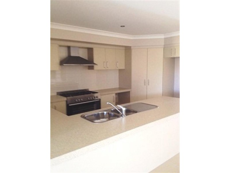 12 Shoveler Street, Aberglasslyn NSW 2320