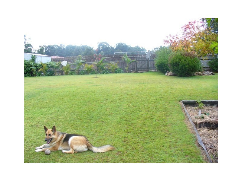 43 Evans Street, Greta NSW 2334