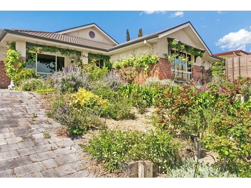 53 Wilton Drive, East Maitland NSW 2323