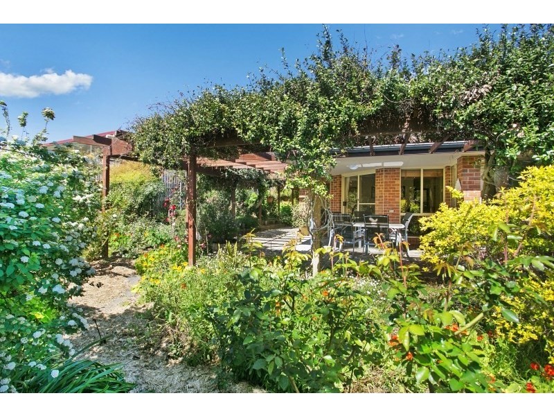 53 Wilton Drive, East Maitland NSW 2323