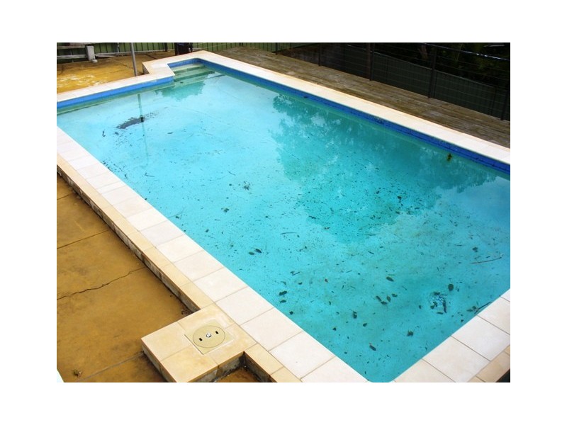 196 Scenic Drive, Merewether NSW 2291