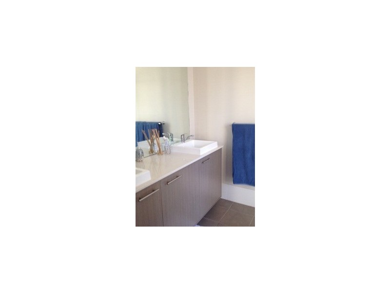 29 Arrowgrass Street, Aberglasslyn NSW 2320