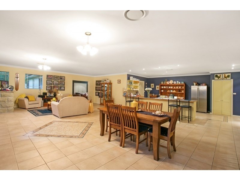 17 Diamantina Place, Wallalong NSW 2320