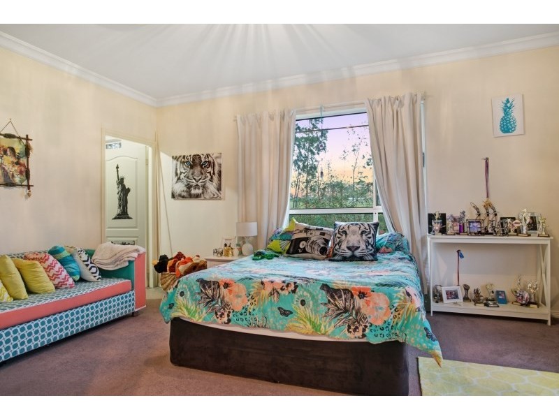 17 Diamantina Place, Wallalong NSW 2320