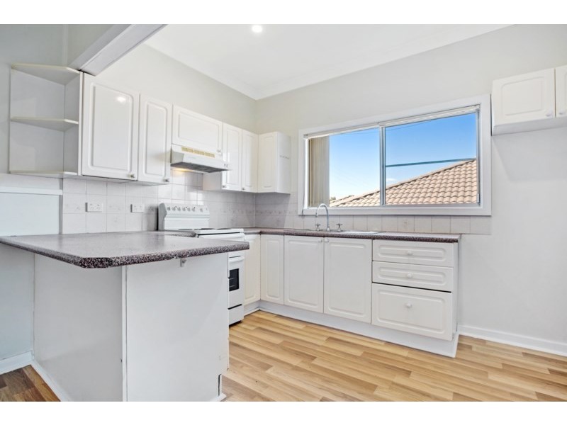 101 Collinson Street, Tenambit NSW 2323