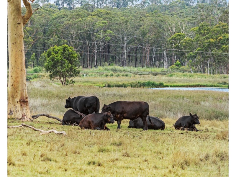 26 Wilton Drive, East Maitland NSW 2323