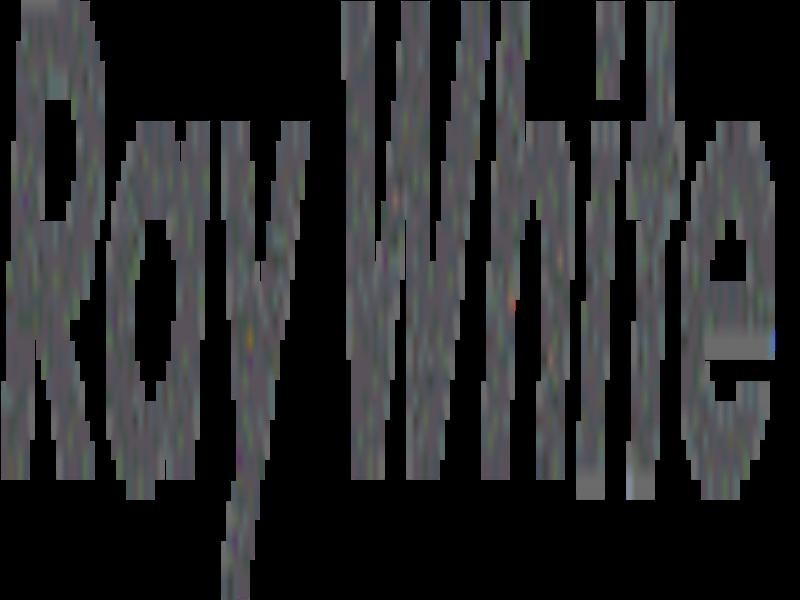 6 Nicholls Street, Lorn NSW 2320