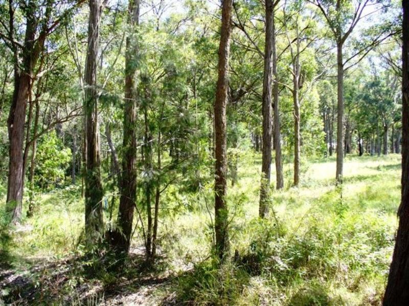 669E Duns Creek Road, Duns Creek NSW 2321