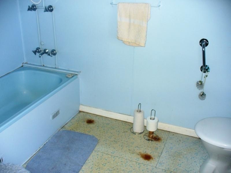 8 Price Street, East Maitland NSW 2323