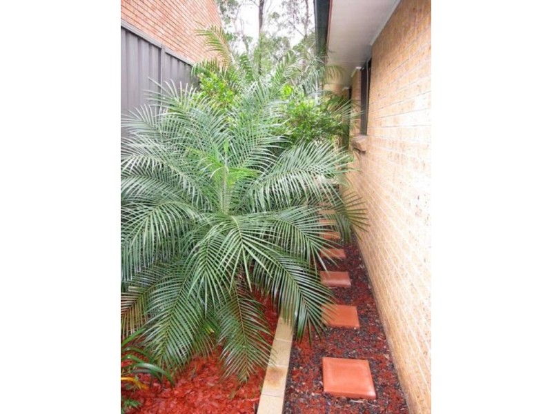 18 Lindeman Street, Ashtonfield NSW 2323