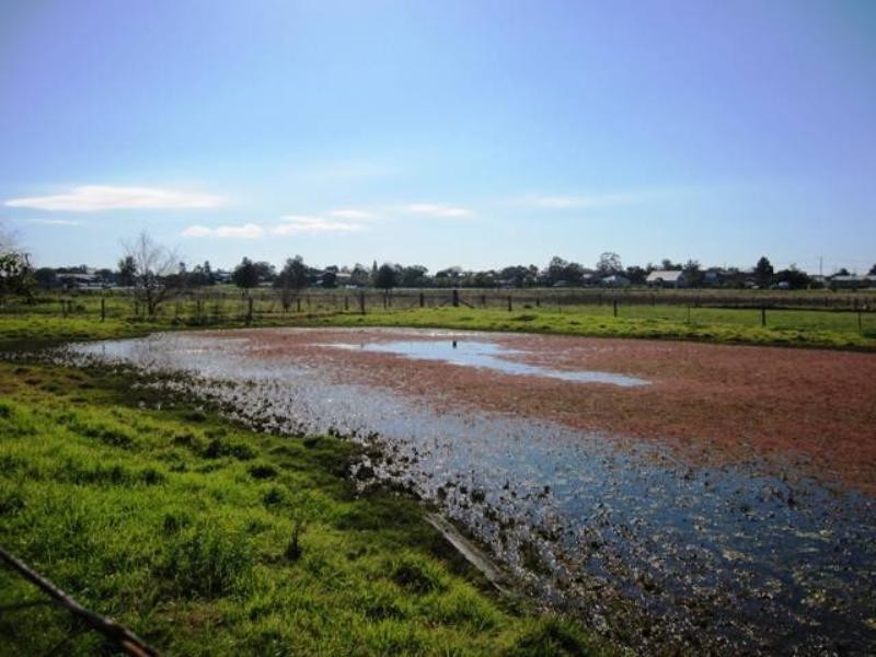 99 Regent Street, Maitland NSW 2320