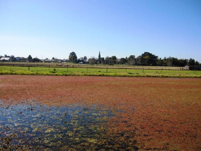 99 Regent Street, Maitland NSW 2320