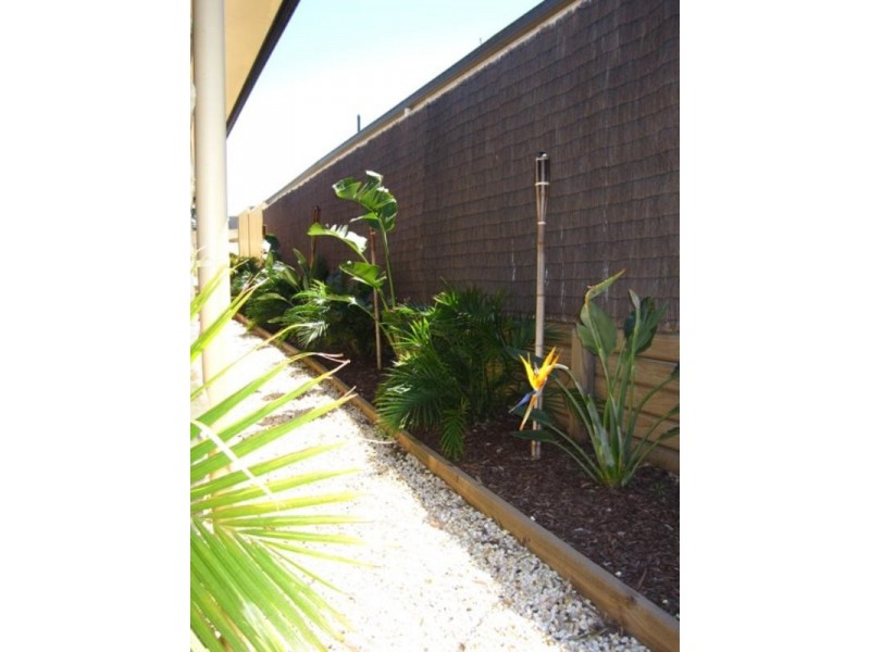 101 Bolwarra Park Drive, Bolwarra Heights NSW 2320