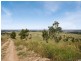 346 Maitland Vale Road, Maitland Vale NSW 2320