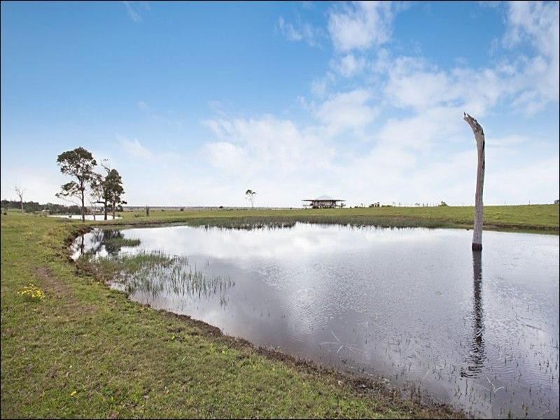 163 Leneghans Drive, Black Hill NSW 2322