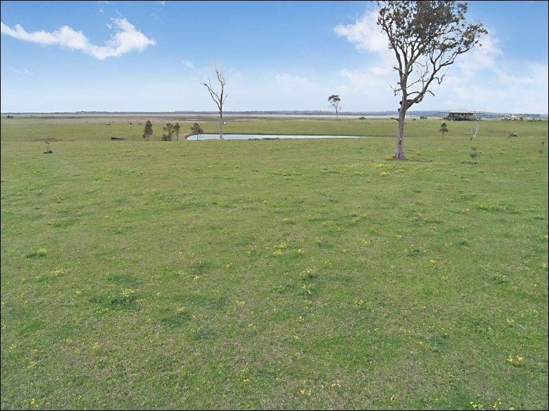 163 Leneghans Drive, Black Hill NSW 2322