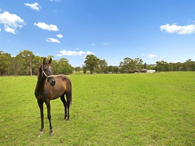 1014 Maitland Vale Road, Rosebrook NSW 2320