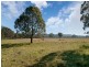 Paterson NSW 2421