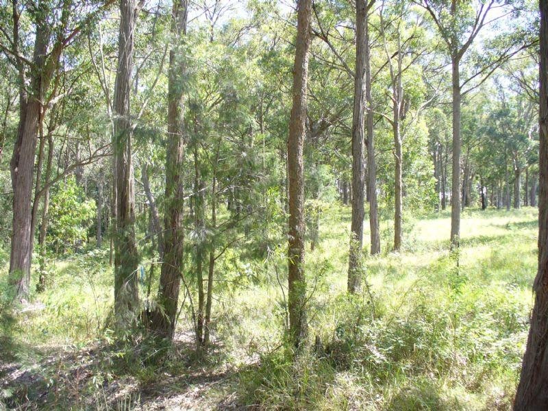 673 Duns Creek Road, Duns Creek NSW 2321