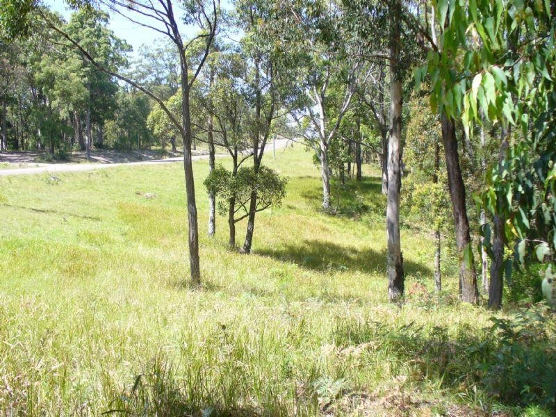 673 Duns Creek Road, Duns Creek NSW 2321