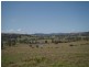 2529 Glendonbrook Road, Gresford NSW 2311