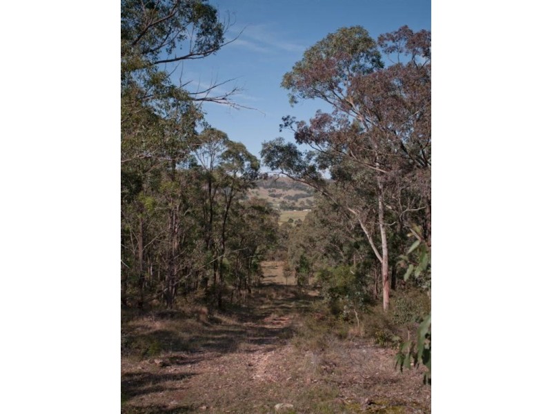 2529 Glendonbrook Road, Gresford NSW 2311