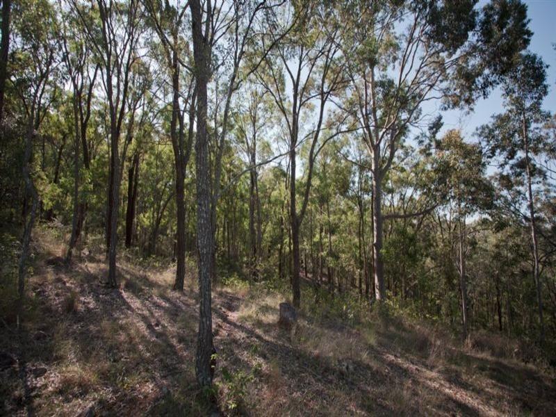 2529 Glendonbrook Road, Gresford NSW 2311