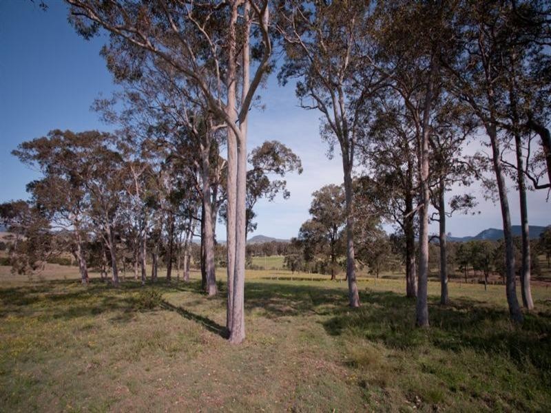 2529 Glendonbrook Road, Gresford NSW 2311