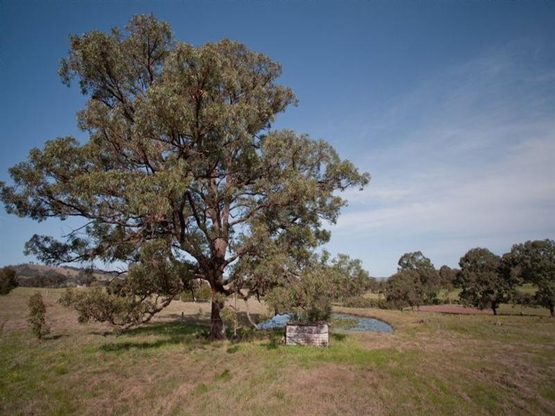 2529 Glendonbrook Road, Gresford NSW 2311