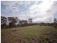 2529 Glendonbrook Road, Gresford NSW 2311