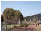 2529 Glendonbrook Road, Gresford NSW 2311