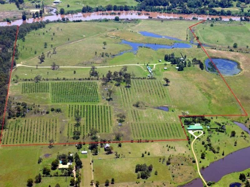 84 Valley Street, Gosforth NSW 2320