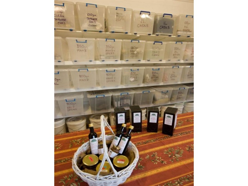 84 Valley Street, Gosforth NSW 2320