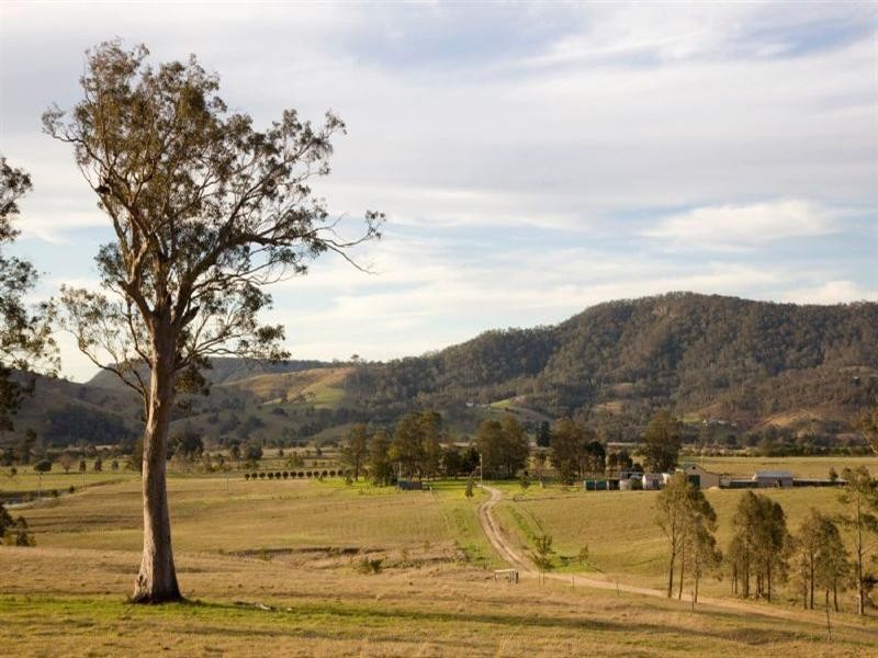 84 Valley Street, Gosforth NSW 2320