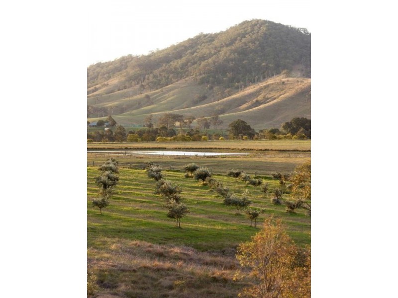 84 Valley Street, Gosforth NSW 2320