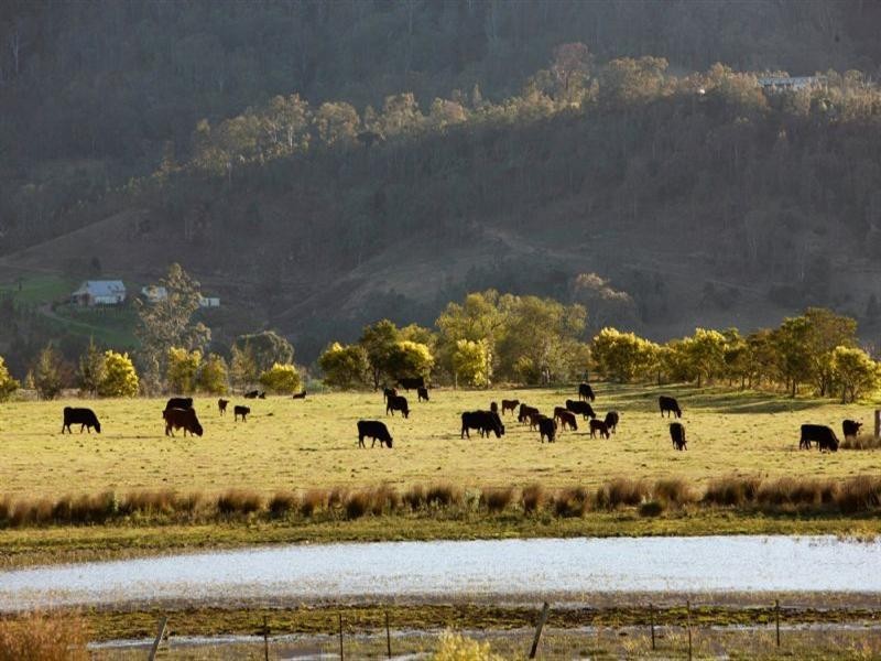 84 Valley Street, Gosforth NSW 2320